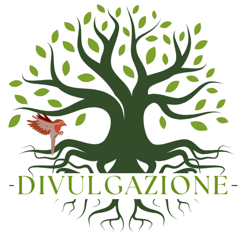 DIVULGAZIONE DIVULGAZIONE