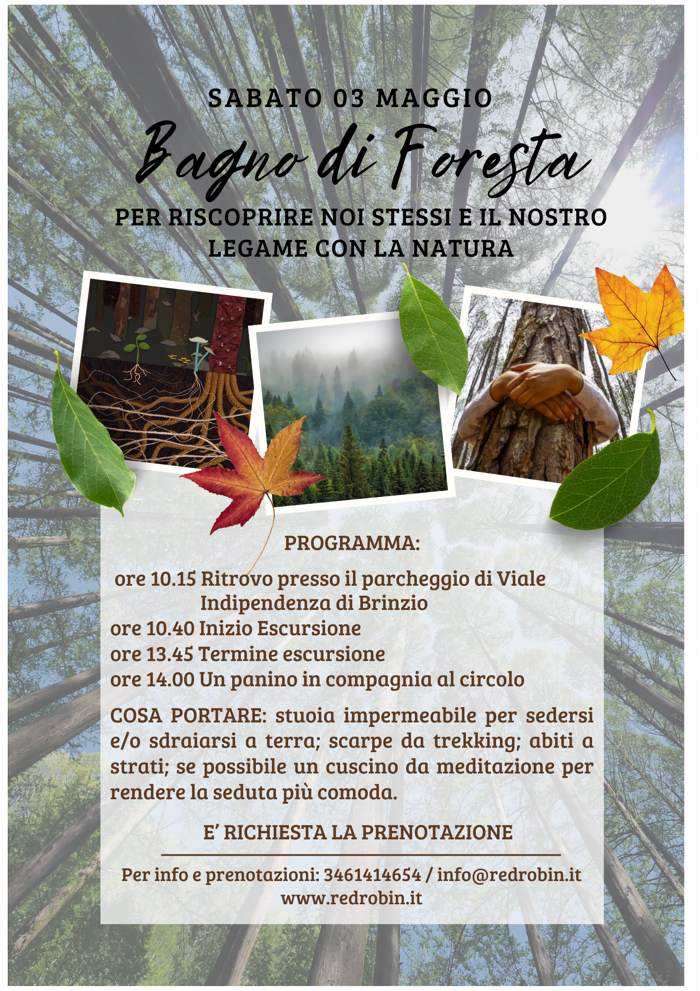 BAGNI DI FORESTA (2)