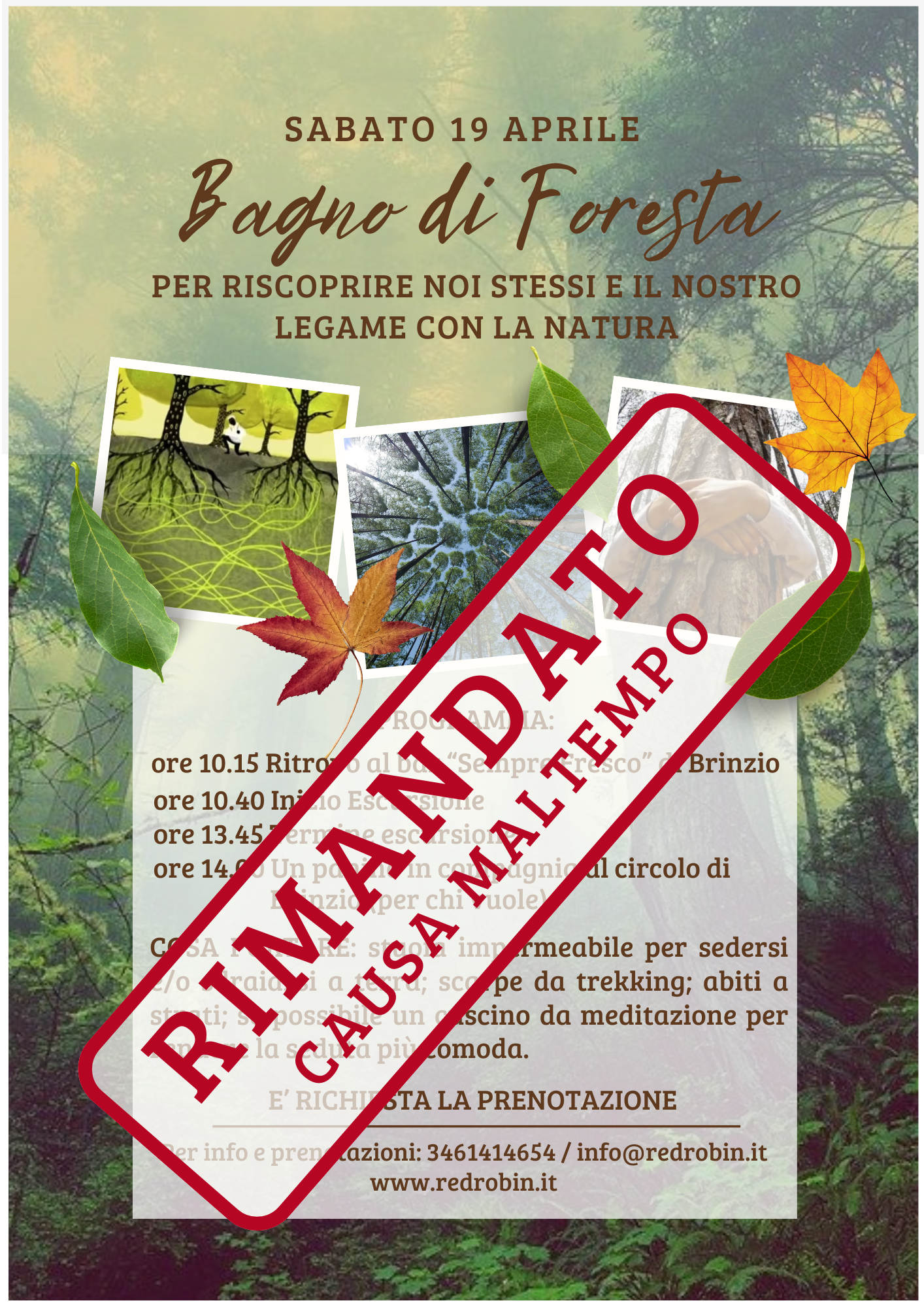 BAGNI DI FORESTA (3)