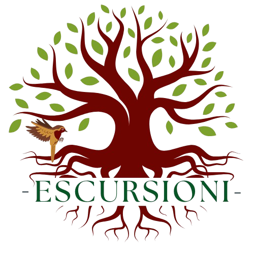 ESCURSIONI-removebg-preview (1)